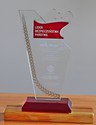 Nagroda: Nagroda I stopnia „Lidera Bezpieczeństwa Państwa 2015”